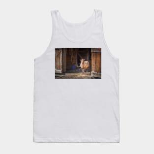 Funny Sheep and the Old Barn Tank Top